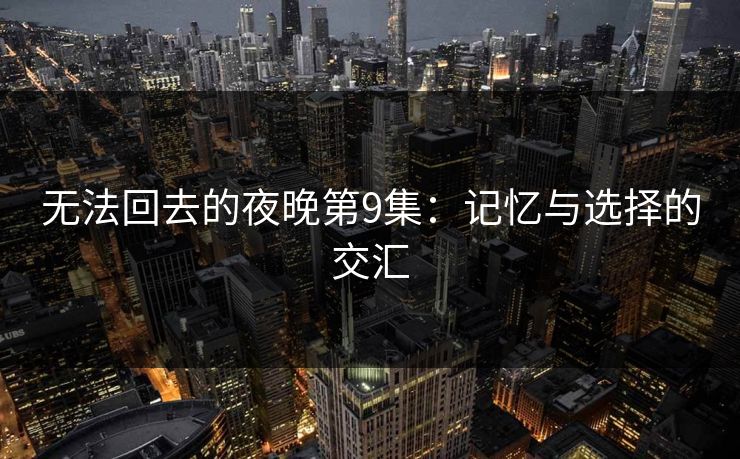 无法回去的夜晚第9集：记忆与选择的交汇