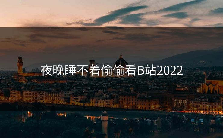 夜晚睡不着偷偷看B站2022