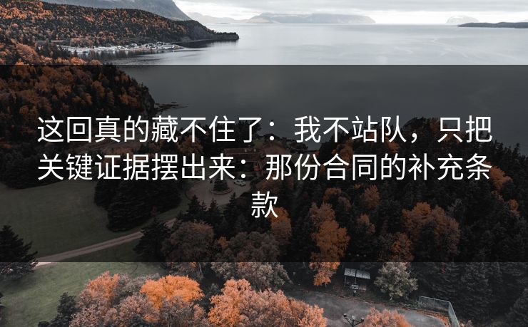 这回真的藏不住了:我不站队,只把关键证据摆出来:那份合同的补充条款 这回真的藏不住了:我不站队,只把关键证据摆出来:那份合同的补充条款